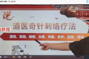 张振虎道医秘传奇针刺络精品网课【原版】视频3集 百度云下载！