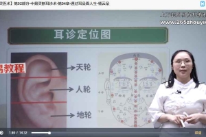 杨云朵-中易灵医术（线上课）20集视频 百度云下载！