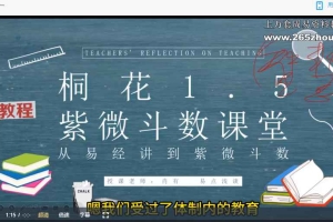 肖有紫微斗数完整课程（基础+实战）视频23集 百度云下载！