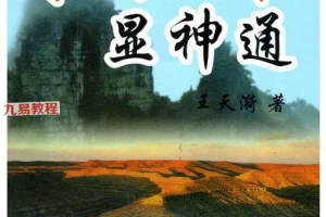 王天漪-《奇门法术显神通》280页.pdf 百度云下载！