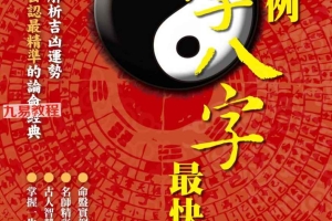 林炜能【看实例学八字最快懂】.pdf 393页 百度云下载！