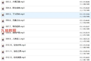 《大黑天神密法》深度传承22堂终极自在豐盛课程22集音频 百度云下载！