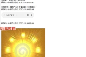 妙妙【主办方密训营】新时代新频率 高维智慧实践课程音频 百度云下载！