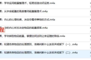生命印记—F水能量整理术7集音频 百度云下载!