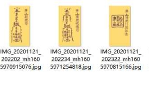 茅山祭阴坛与赶尸大法 pdf 百度云下载！