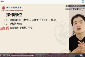 荆秋雨 原气导引松筋术理疗必学 视频39集 百度云下载！