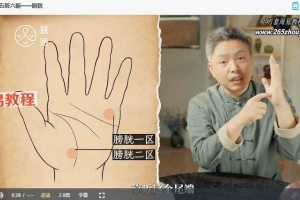 黄凯晟掌纹的秘密视频20集 百度云下载!