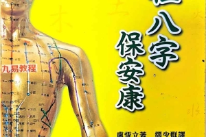 四柱八字保安康.pdf 269页 百度云下载！