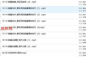 内在星球【能量的艺术】音频20集 百度云下载！