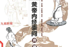 【MHHD】漫画黄帝内经素问pdf 全5册 2002 清晰 百度云下载！