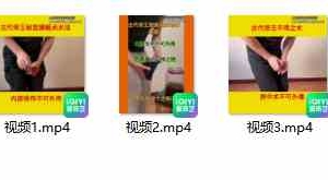 广化-金枪不倒视频5集+资料 百度云下载！