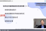 【完结】如何应对生命之殇：哀伤辅导与创伤干预系统培训视频 百度云下载！
